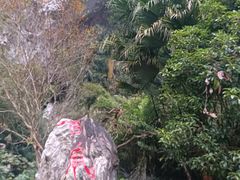 -百魔洞景区