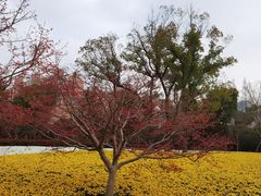 -中国浦东干部学院