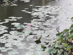-上海怡沁园度假酒店