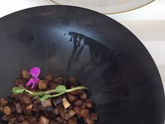 -诺莱仕游艇会