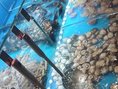 -欢乐牧场·海鲜烧烤涮自助餐(蚌山万达店)