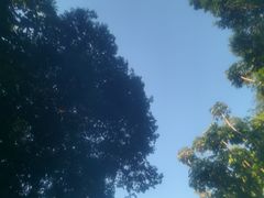 -碧水湾温泉