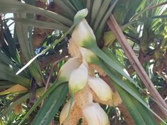 -白沙门生态公园