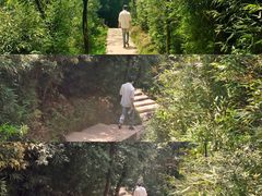 -梦幻奥陶纪景区