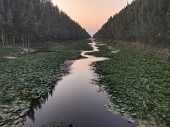 -铁锅炖灶台鱼老三炖鱼馆