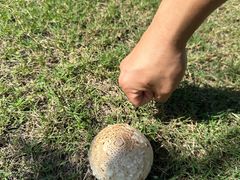 -福建鲤鱼洲酒店