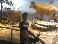 -陕西自然博物馆