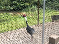 景点-千岛湖龙川湾