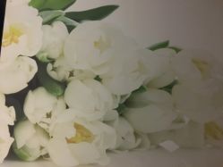 -时尚殿堂·颜SPA