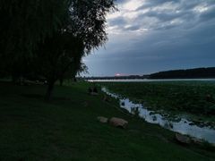 -丁香湖公园