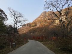 -大连天门山国家森林公园