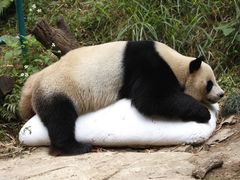 -广州长隆欢乐世界