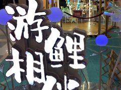 -鹏欣水游城