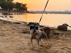 -长春市南湖公园