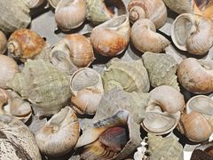 -77号渔船·蒸海鲜青岛菜(积米崖店)