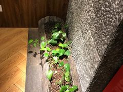 -金苑海鲜酒家(新港中路店)