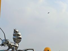 -深圳人才公园