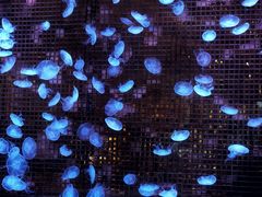 -永利澳门酒店