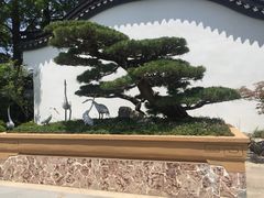 -上海植物园-4号门售票处