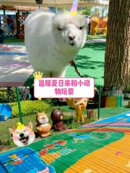 -萌宠亲子动物乐园(槐房万达店)