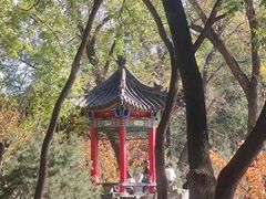-莲湖公园