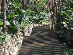 -铁山坪森林公园