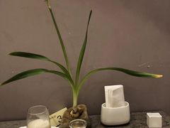 -九华山聚龙大酒店