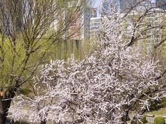 景点-元大都城垣遗址公园