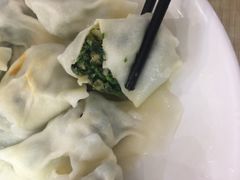 荠菜土猪肉水饺-霍嘟嘟手工水饺(黄山花园店)