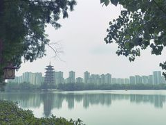 -洋湖国家湿地公园