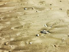 -那琴半岛地质海洋公园