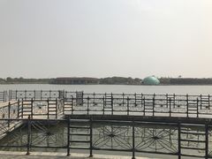 -上海都市菜园
