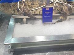 -海鼎荟海鲜姿造(晋江宝龙店)