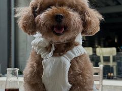 -微焙咖啡工厂(海峡创意产业园·红坊店)