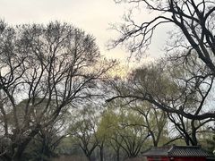 -北陵公园