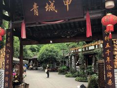 -青城甲(青城山店)