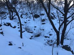 -阳台山自然风景区