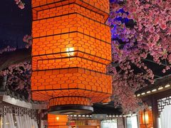 -荷塘秋月·本帮江浙菜(国权路店)