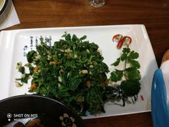 当地野菜-印象江南(东栅店)