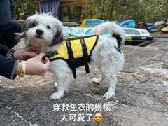 -广州锦绣香江度假别墅