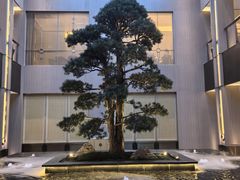 -外滩·云南人家(昆明旗舰店)