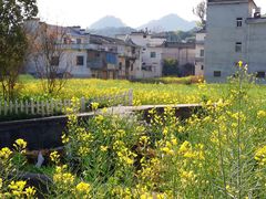 -新安江山水画廊风景区