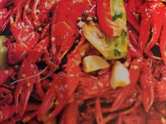 -杨氏青龙虾·羊蝎子(托乐嘉店)