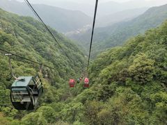 -王顺山国家森林公园