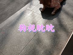 -临平南高铁站(地铁站)