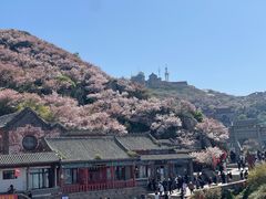 -泰山风景名胜区