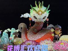 -花博汇(知音花月夜)