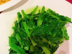 酒香豆苗-老吉士酒家(天平路店)