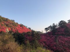 -木兰云雾山
