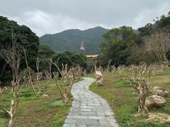 -深圳仙湖植物园